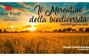 Domenica in Piazza Cairoli arriva il Mercatino della Biodiversità di Slow Food
