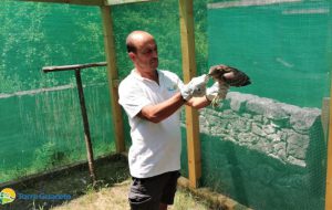 Percorsi di educazione e riabilitazione: continuano le attività del centro fauna selvatica di Torre Guaceto