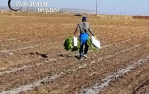Controlli anticaporalato a Tuturano: denunciato bracciante agricolo africano