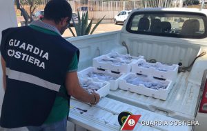 Merluzzo di taglia inferiore al consentito e pesca a strascico: la Guardia Costiera sequestra il pesce e lo dona ad Istituti di beneficenza