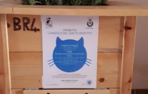 Due gattofioriere in città come mangiatoie e arredo urbano