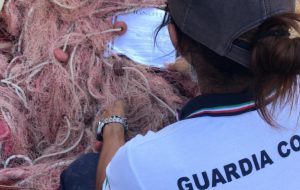 L’impegno della Guardia Costiera contro la pesca di frodo a Torre Guaceto