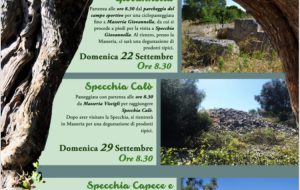 A raccontar di Specchie e Masserie…