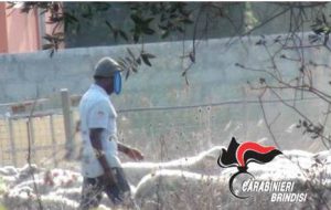 20enne del Gambia ridotto in schiavitù: in manette due imprenditori brindisini