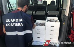 La Capitaneria di Porto sequestra tre quintali di pesce