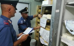 Sequestrati 800 kg di formaggi non idonei al consumo umano