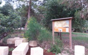 Da Uniti per Mesagne arriva una proposta di rigenerazione del Parco La Tagliata