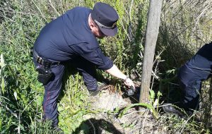 Bracconiere con richiami acustici denunciato dai Carabinieri Forestali