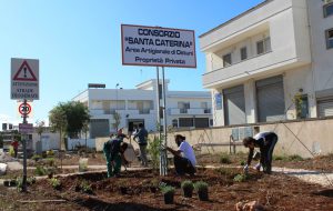 Ostuni Green Riot e Consulta di Santa Caterina insieme per la riqualificazione della Zona artigianale