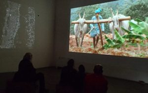 Sabato a Cisternino si inaugura la video installazione “AgriCultures Acqua Terra Uomo”