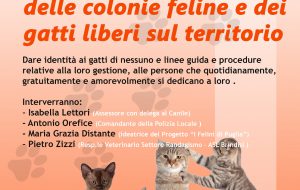 Venerdì 18 a Palazzo Nervegna convegno sulle colonie feline