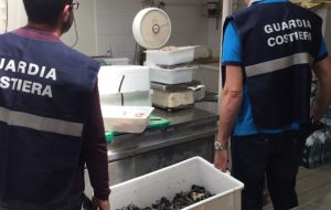 Multate due pescherie di Cisternino: sul bancone prodotto privo di tracciabilità