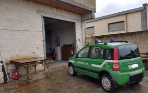 Rifiuti da officina smaltiti illecitamente: denunciato elettrauto