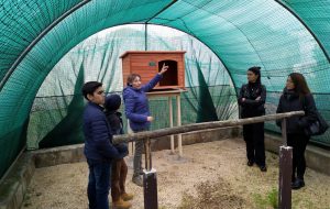 Grande successo per l’apertura domenicale del Centro Fauna Selvatica della Provincia di Brindisi