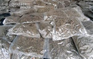 In casa 145 Kg. di marijuana stipati in 433 involucri termosaldati: arrestato 38enne