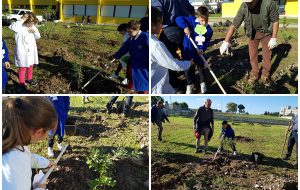 Giornata Nazionale degli Alberi: il Vescovo li benedice, gli studenti li mettono a dimora
