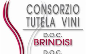 Il rischio di nuovi impianti fotovoltaici preoccupa il consorzio di tutela dei vini DOC Brindisi e Doc Squinzano