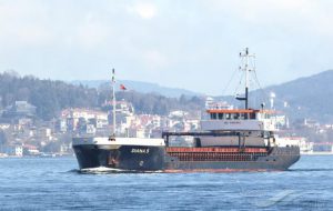 Danneggia scoglio ed evade i controlli sicurezza: denunciato il comandante della nave Diana S