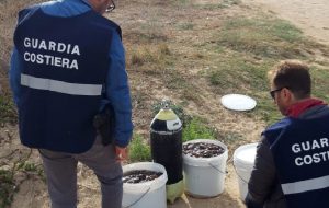 La Guardia Costiera sequestra 100 kg di oloturie sul litorale ostunese