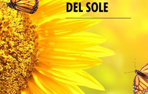 Anna Maria Benone presenta “Il giro lento del sole” alla Caffetteria Letteraria Nervegna