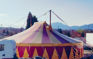 In arrivo a Brindisi la prima scuola di arti performative del Sud Italia sotto un vero tendone da circo