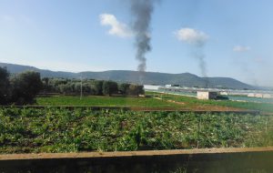 Fasano: rogo di rifiuti plastici nei pressi di una serra: intervengono i Carabinieri Forestali
