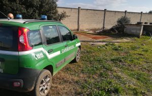Frantoi irregolari: sequestri dei Carabinieri Forestali a Villa Castelli ed Erchie