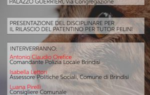 Colonie feline: cosa sono, come si gestiscono, chi se ne occupa: convegno il 22 febbraio a Palazzo Guerrieri
