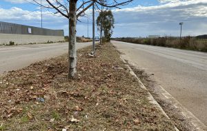 Manutenzione del verde zona PIP e mitigazione del rischio idrogeologico – area ad Alto rischio R4