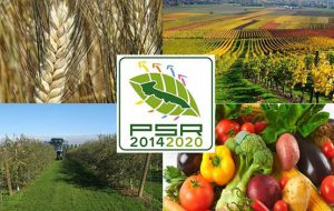 PSR, Fitto e De Castro scrivono al Commissario UE: “deroga necessaria, l’agricoltura pugliese vive momento di emergenza”