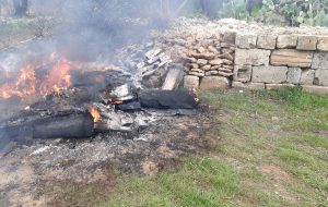 Brucia cumuli di plastica: intervento immediato dei Forestali