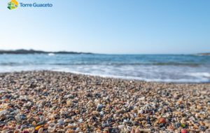 Il paradiso esiste ed è a due passi da noi: a Torre Guaceto una spiaggia fatta di conchiglie