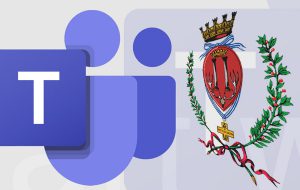 La diretta del Consiglio Comunale di Brindisi in forma telematica