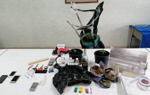 Sul balcone tre piantine ed oltre mezzo Kg di marijuana: arrestati due ventenni
