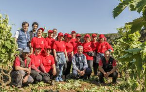 Cantine Due Palme: una grande famiglia