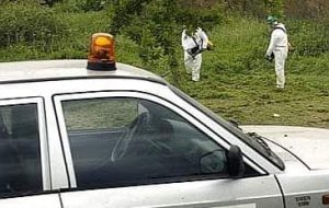 Maggioranza, Bms: “Sulle assunzioni assoluta trasparenza. Con noi stop a clientelismo