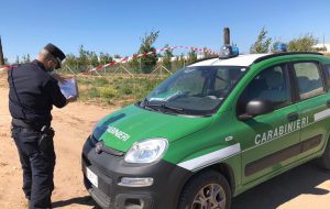 Sbancamenti abusivi di spiaggia: i Carabinieri Forestali intervengono sul litorale di Torchiarolo