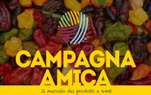 Da giovedì 28 maggio in Piazza Umberto I torna il Mercato di Campagna Amica