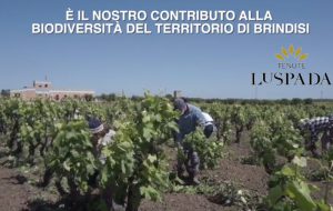 Fondazione Dieta Mediterranea e Università di Padova: tour didattico presso Tenute Lu Spada