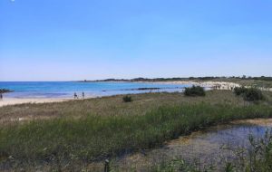 Chi vuole frequentare Torre Guaceto deve rispettarla!