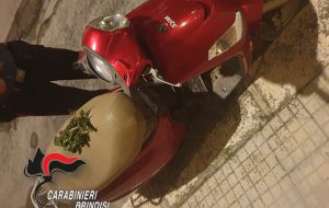 Non si fermano all’Alt: sulla moto avevano 5 piantine di marijuana