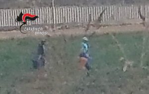 Controlli anti–caporalato: i Carabinieri arrestano padre e figlio
