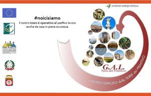 Gal Terre del Primitivo cerca aziende per la promozione dei prodotti tipici, dell’agro food e dell’artigianato artistico e dei prodotti di turismo sostenibile ed esperenziale