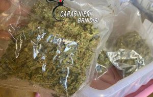 12,5 Kg di cannabis illegale coltivati in azienda agricola: arrestato imprenditore 59enne