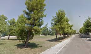 Francavilla: nuova vita per il Parco Caniglia