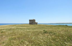 Sostenibilità e vigilanza: pronti i progetti per Torre Guaceto