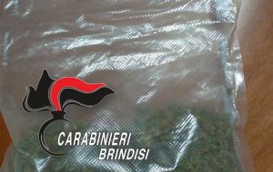 Il cane Fighter fiuta oltre 100 grammi di marijuana: nei guai 29enne di Mesagne