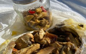 Attenzione ai funghi: donna intossicata ad Ostuni. I consigli del micologo dell’ASL