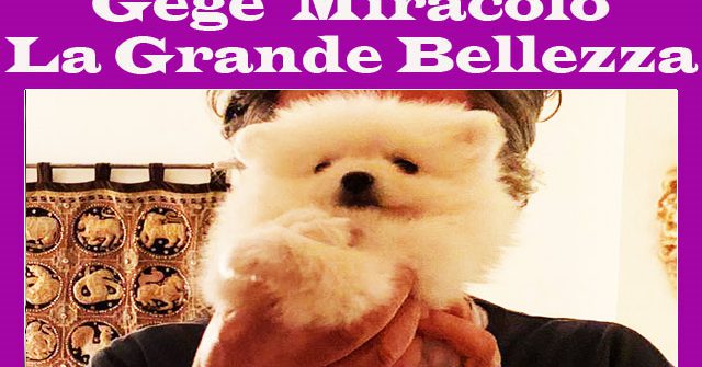 La Grande Bellezza: “Ho fatto colpo”. Di Gegè Miracolo