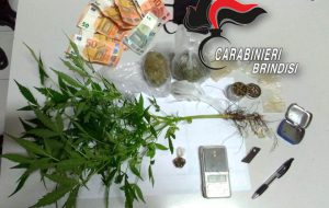 Sorpresi con una pianta e 4 semi di canapa indiana, 1,9 grammi di hashish e 75,41 grammi di marijuana
